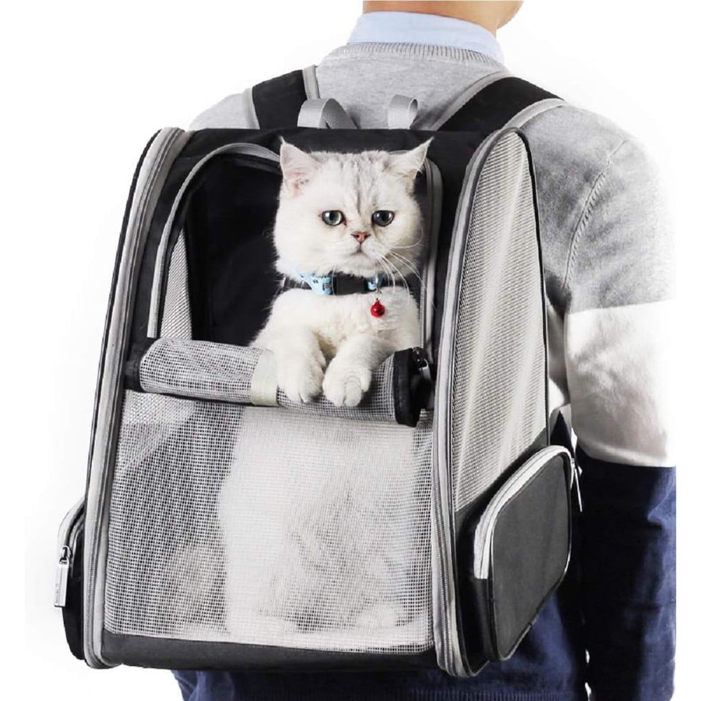 🔥 **#1 Bubble Pet Backpack!** Traveler-Designed Carrier⚡360° Airflow Windows🐾Comfy for Cats/Dogs【TikTok's Pet Travel Obsession】