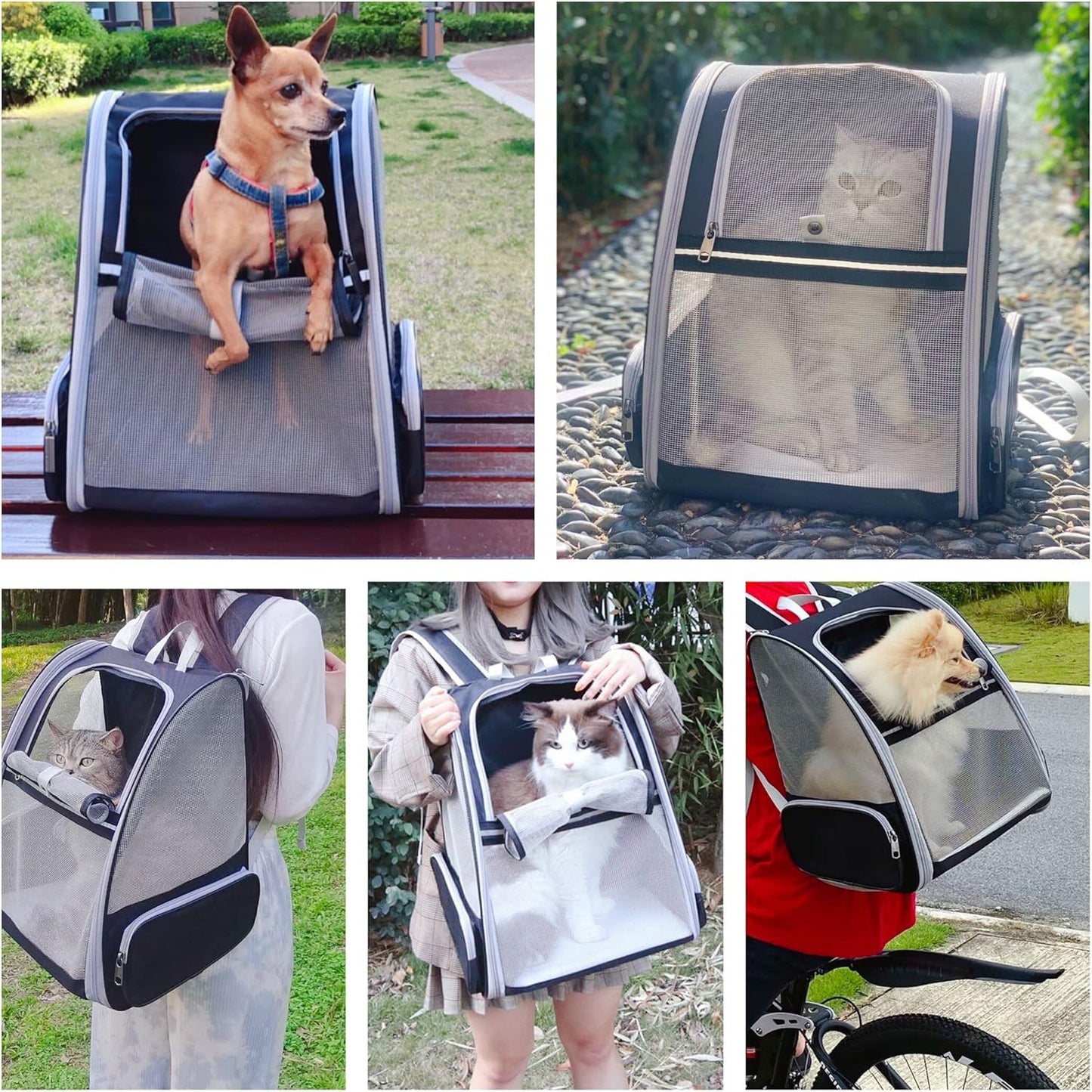 🔥 **#1 Bubble Pet Backpack!** Traveler-Designed Carrier⚡360° Airflow Windows🐾Comfy for Cats/Dogs【TikTok's Pet Travel Obsession】