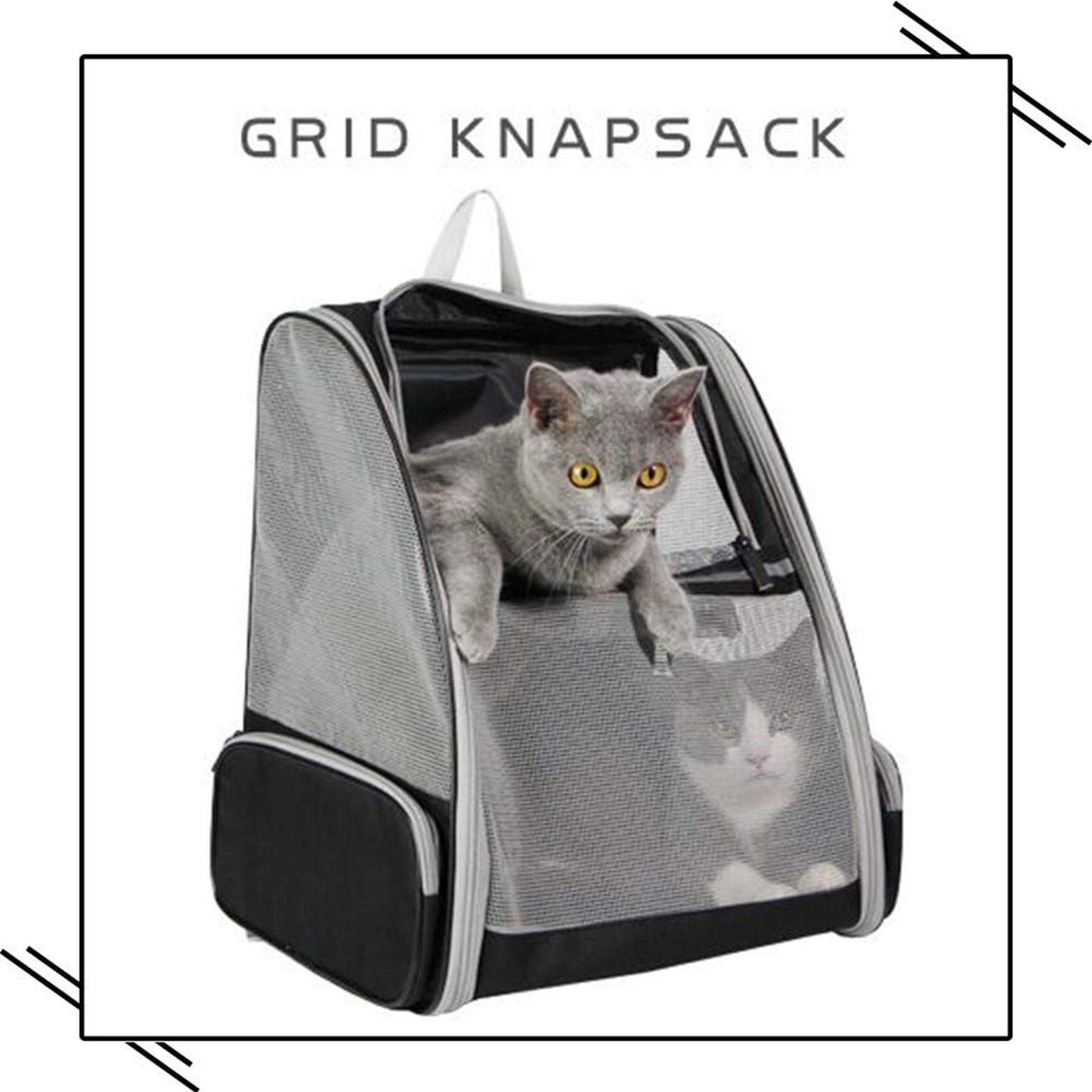 🔥 **#1 Bubble Pet Backpack!** Traveler-Designed Carrier⚡360° Airflow Windows🐾Comfy for Cats/Dogs【TikTok's Pet Travel Obsession】