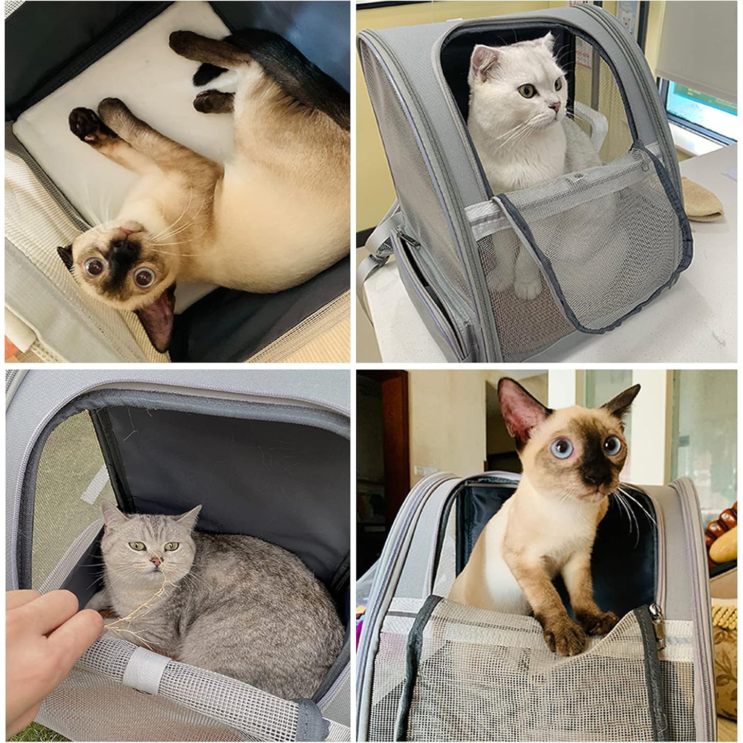 🔥 **#1 Bubble Pet Backpack!** Traveler-Designed Carrier⚡360° Airflow Windows🐾Comfy for Cats/Dogs【TikTok's Pet Travel Obsession】