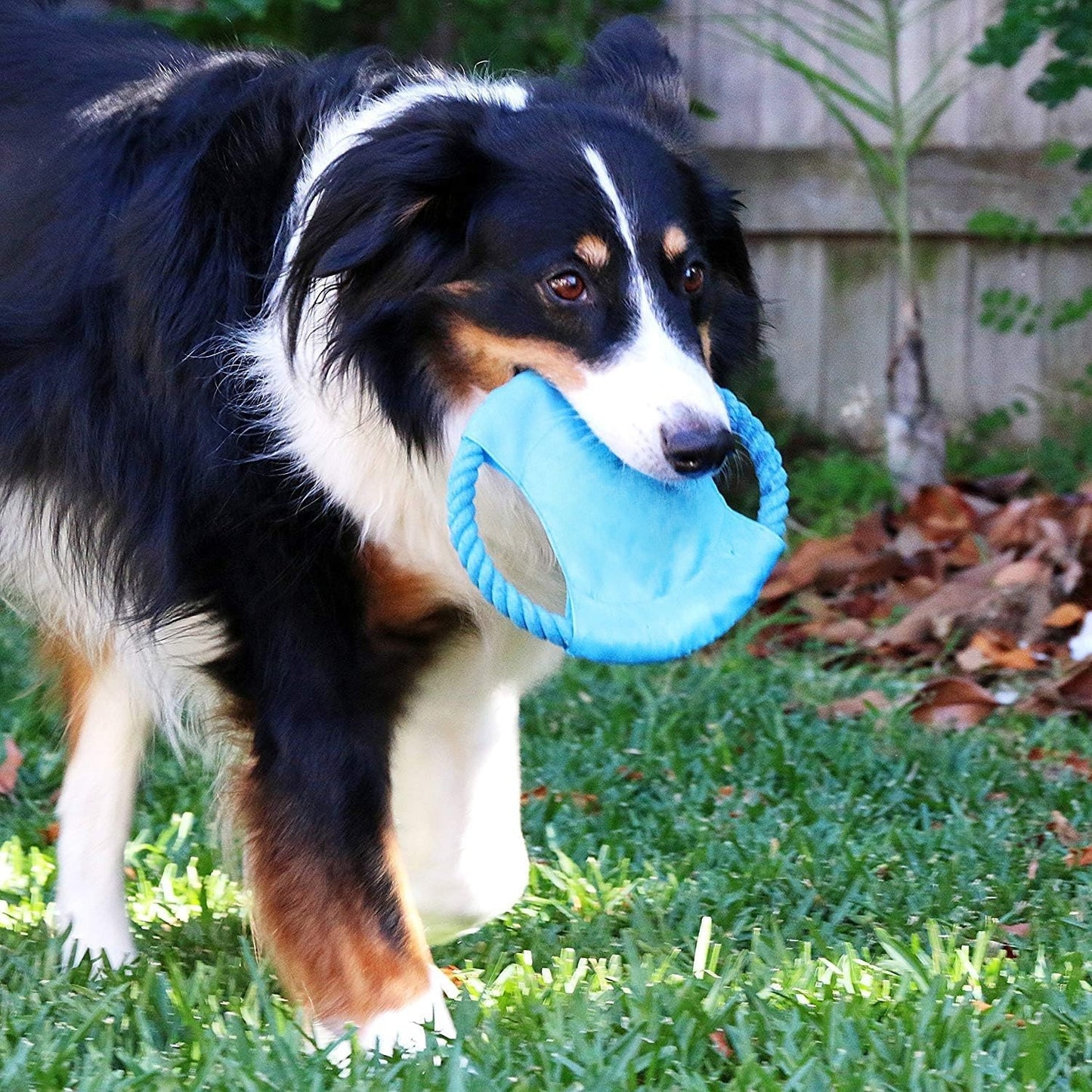 🔥 Indestructible Dog Rope Toys! Heavy-Duty Cotton Ropes⚡For Aggressive Chewers💪【Ultimate Chew Proof】