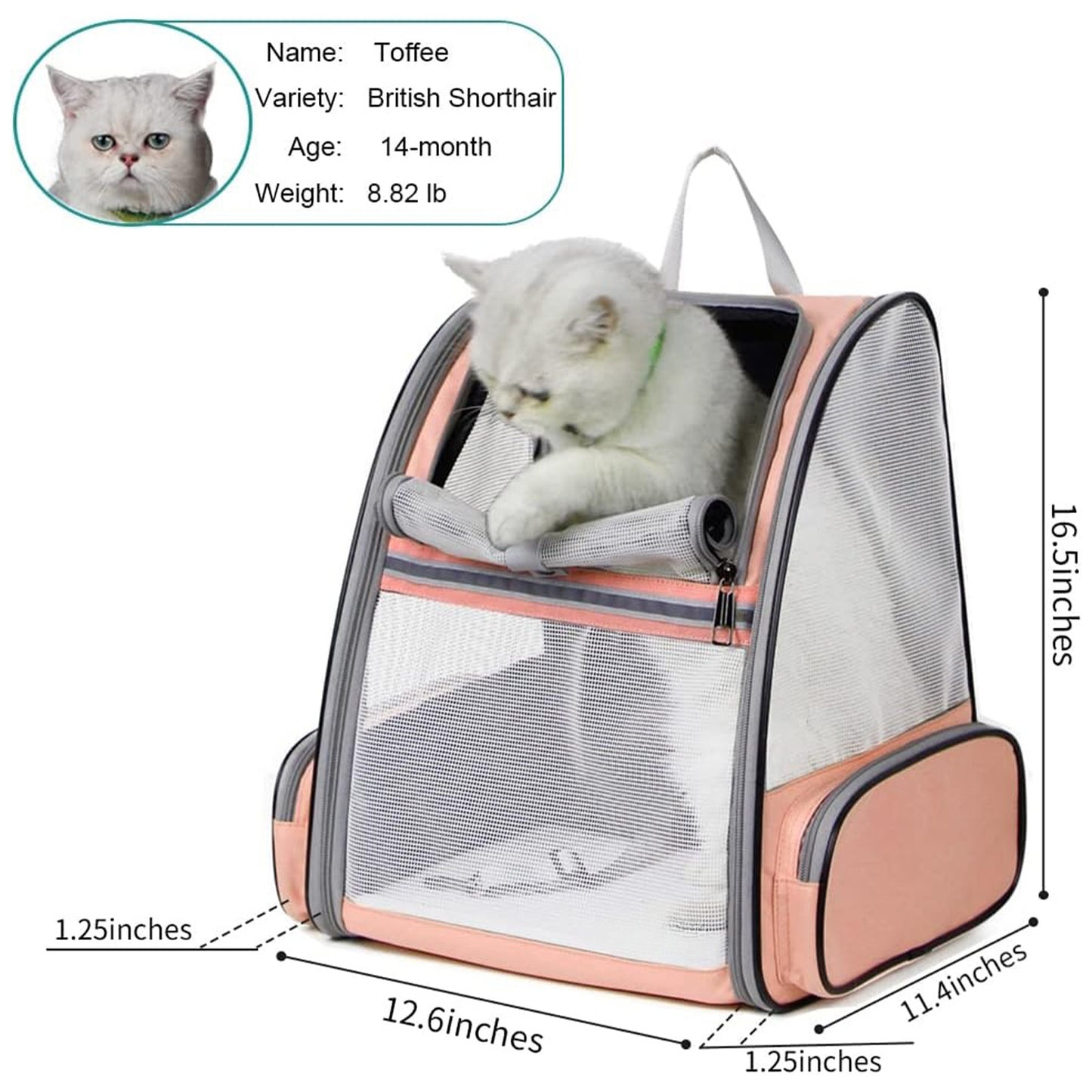 🔥 **#1 Bubble Pet Backpack!** Traveler-Designed Carrier⚡360° Airflow Windows🐾Comfy for Cats/Dogs【TikTok's Pet Travel Obsession】