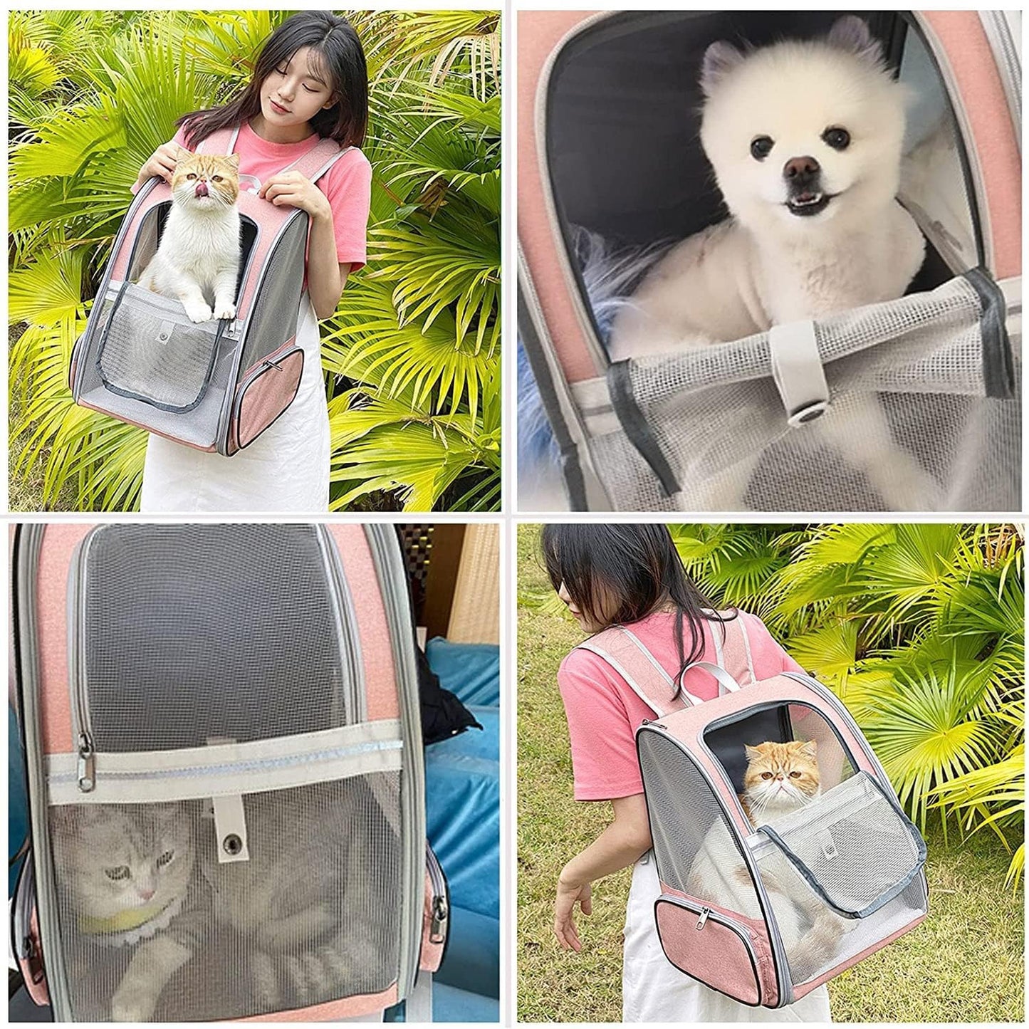 🔥 **#1 Bubble Pet Backpack!** Traveler-Designed Carrier⚡360° Airflow Windows🐾Comfy for Cats/Dogs【TikTok's Pet Travel Obsession】