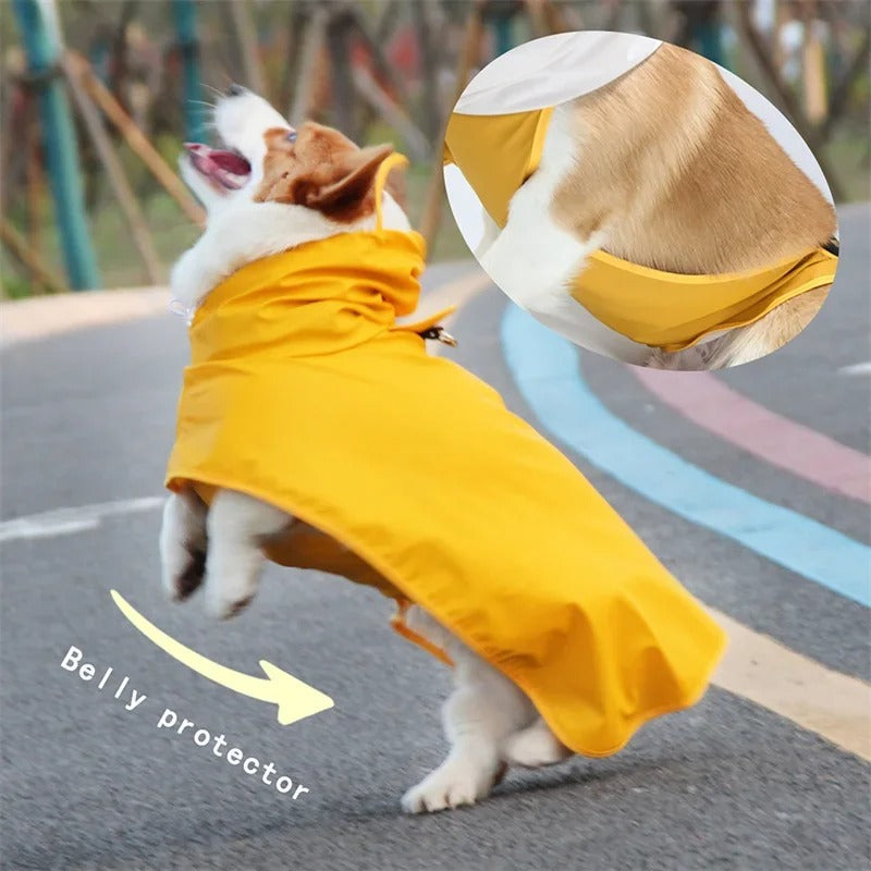 🔥 Dog Raincoat Pro! Waterproof Adjustable Jacket⚡Clear Hood Double Layer🌧️Reflective Pocket + Rim【For L/M/S Dogs】