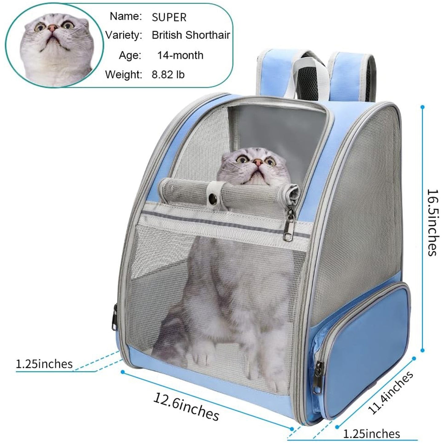 🔥 **#1 Bubble Pet Backpack!** Traveler-Designed Carrier⚡360° Airflow Windows🐾Comfy for Cats/Dogs【TikTok's Pet Travel Obsession】