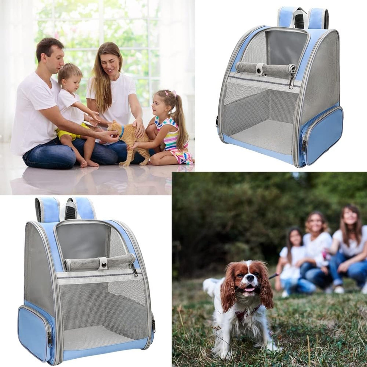 🔥 **#1 Bubble Pet Backpack!** Traveler-Designed Carrier⚡360° Airflow Windows🐾Comfy for Cats/Dogs【TikTok's Pet Travel Obsession】