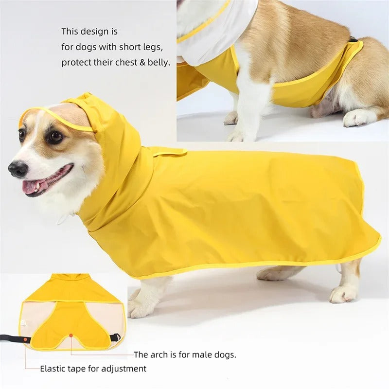 🔥 Dog Raincoat Pro! Waterproof Adjustable Jacket⚡Clear Hood Double Layer🌧️Reflective Pocket + Rim【For L/M/S Dogs】