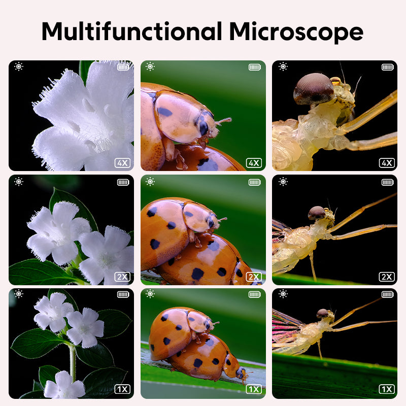 500X Zoom Kids Microscope ✨ 2" LCD Screen & 8 LED Lights 💡 Explore Hidden Worlds! 🔬 USB to PC + 32GB SD Card 🌟 #STEMgifts #TikTokMadeMeBuyIt
